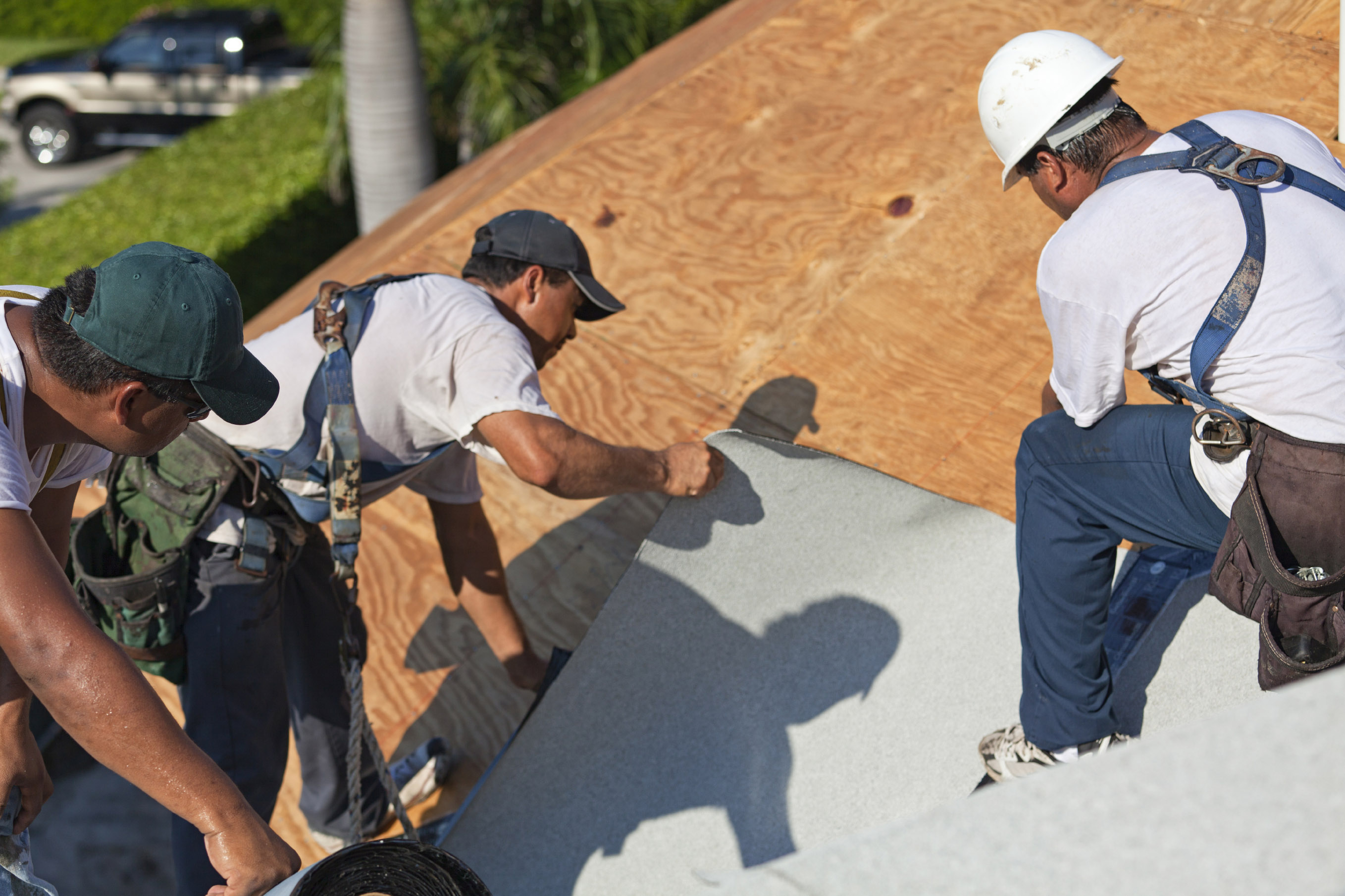 Reviewing OSHA Roof Safety Rules | West Fraser - Integrated Forestry ...