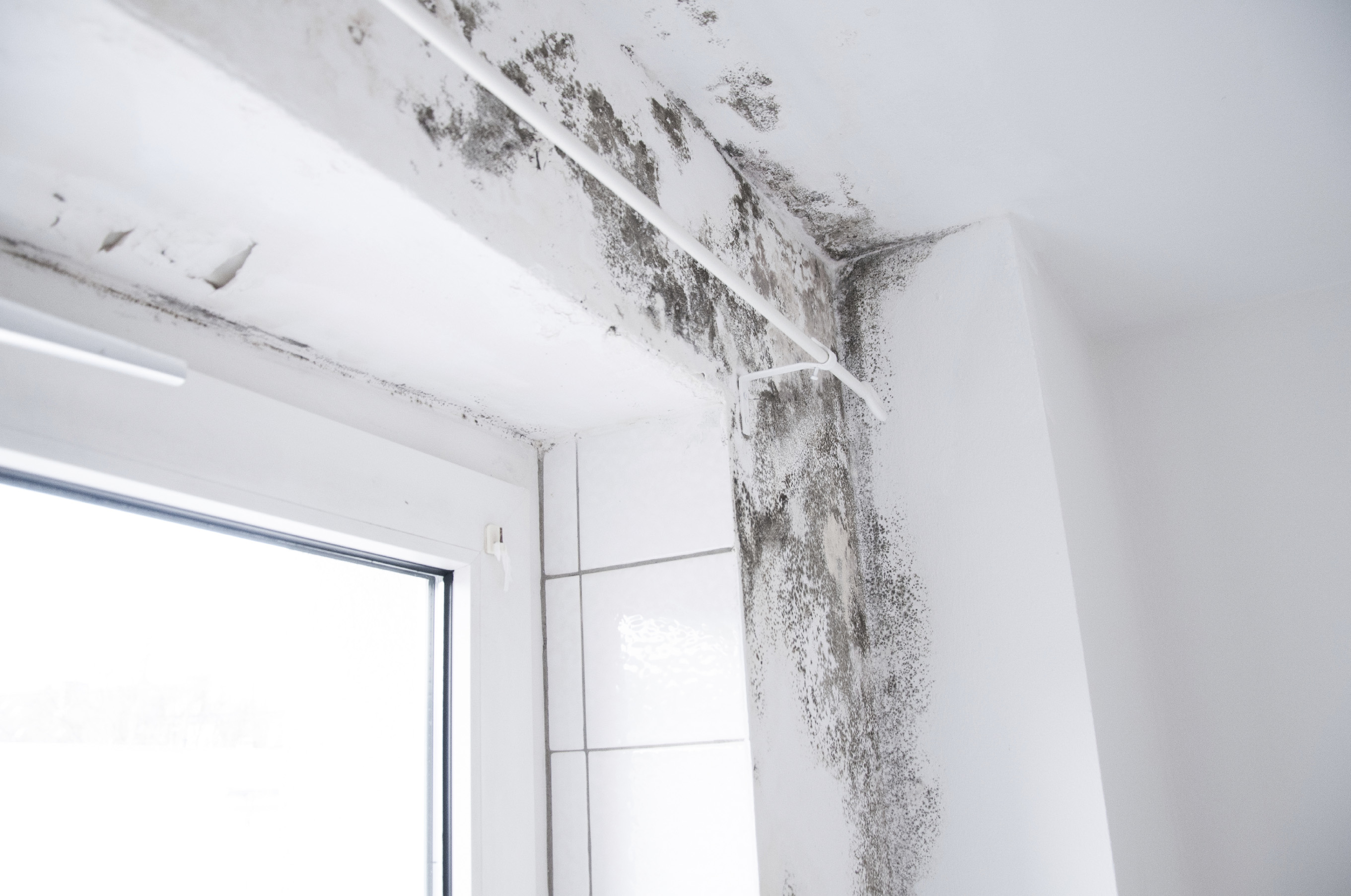 Mold in Air Vents? Eliminate and Stop It from Happening Again