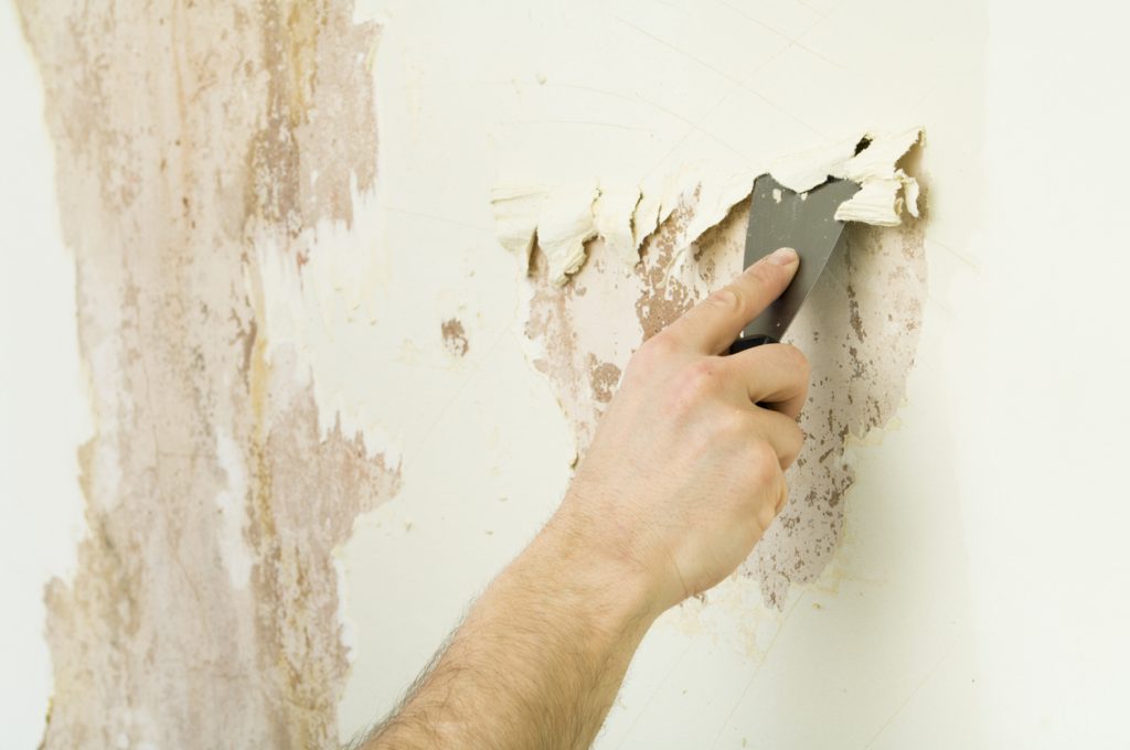 Tips for Easy Wallpaper Removal West Fraser Integrated Forestry Company
