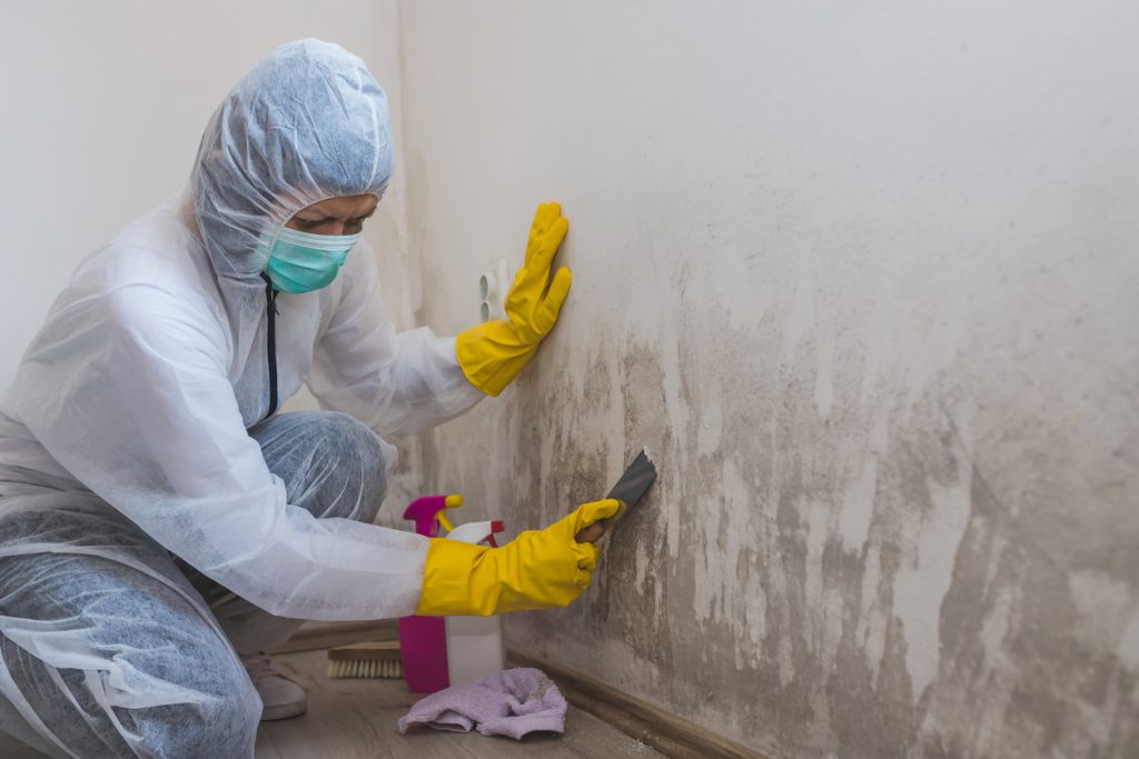 Safely Removing Mold and Mildew from Your Jobsite West Fraser