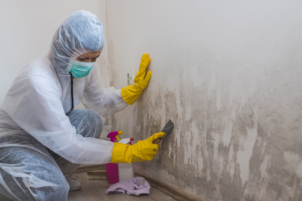 Safely Removing Mold and Mildew from Your Jobsite