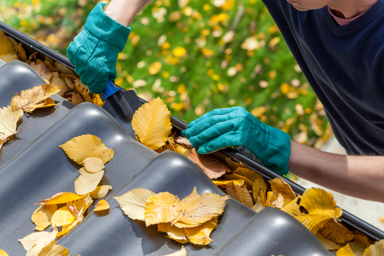 Lifesaving Tips for Cleaning your Gutter